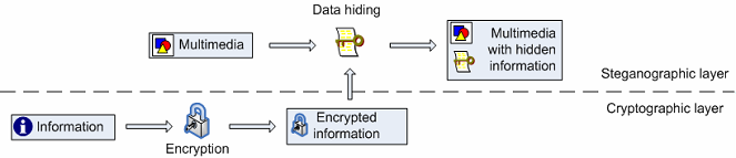 Data Hiding In Web